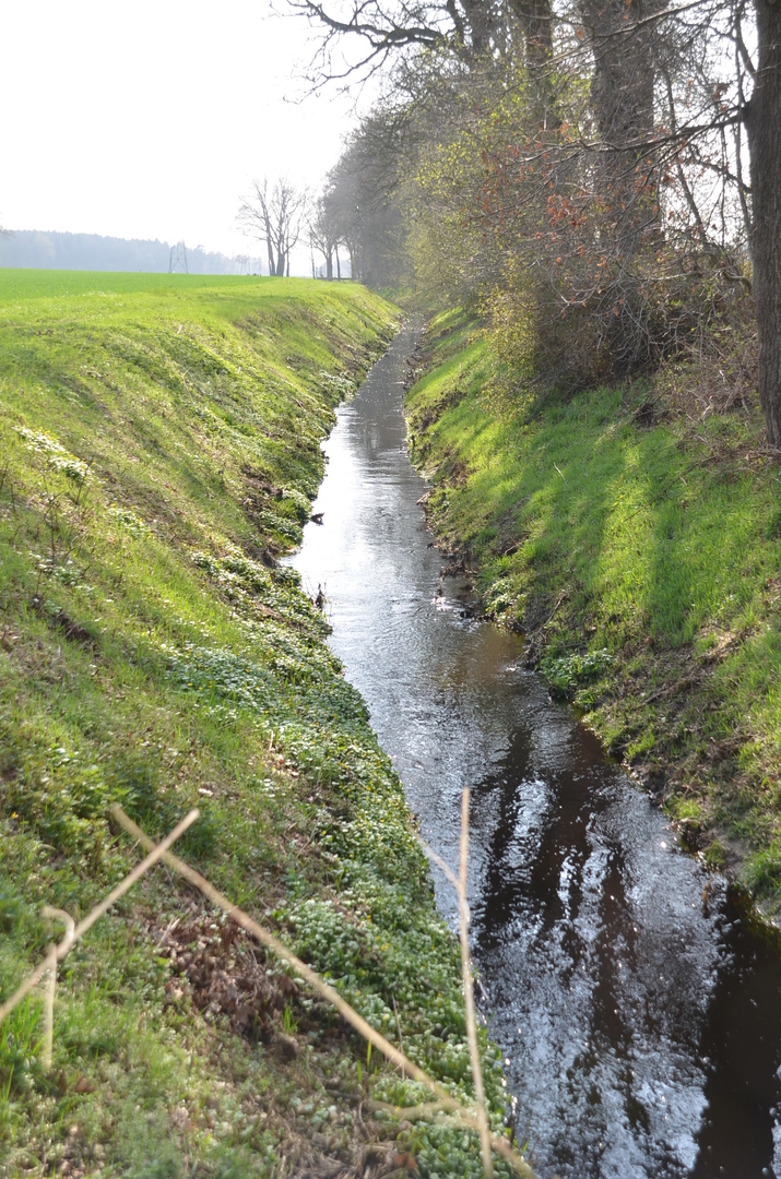 Frühling in Achternholt 2018 008